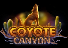 Coyote Canyon Slot Logo