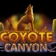 Coyote Canyon Slot Logo