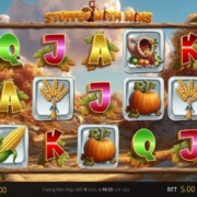 Stuffed With Wins slot game image