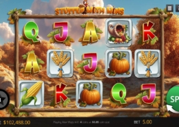 Stuffed With Wins slot game image