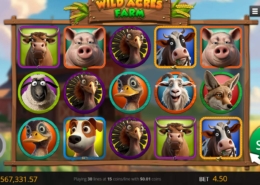 Wild Acres Farm Slot Gameplay