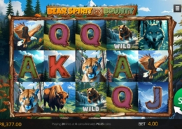 Bear Spirit Bounty slot game screenshot