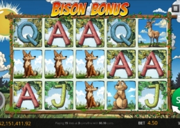 Bison Bonus slot machine screenshot