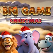 Main Big Game Christmas slot game image